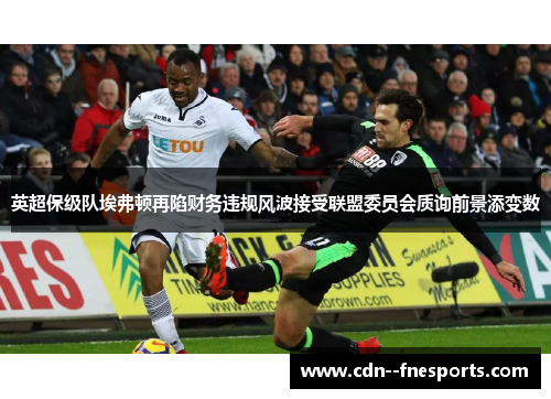 英超保级队埃弗顿再陷财务违规风波接受联盟委员会质询前景添变数